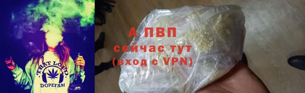 стафф Козельск