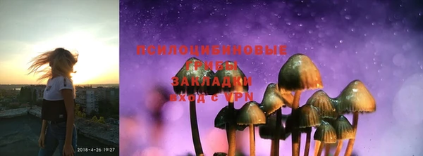 дмт Кодинск