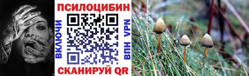 Купить где  Волхов  Псилоцибиновые грибы Magic Shrooms 